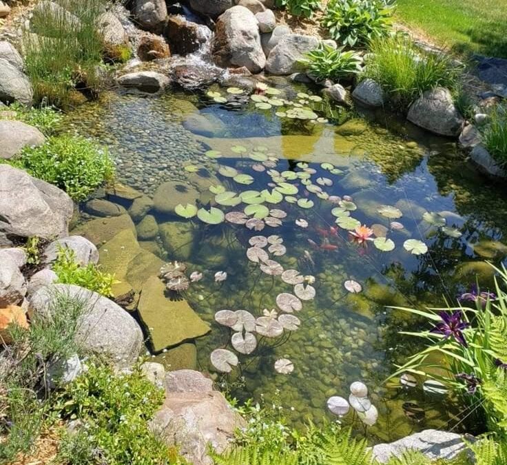 ponds in spring time