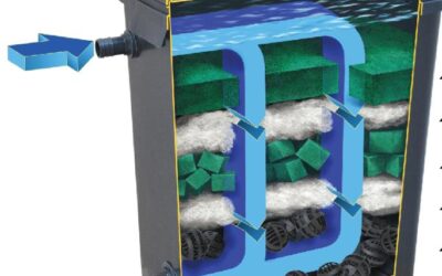 Biofilters