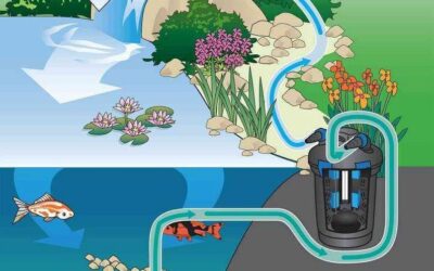 Pond Pump flow