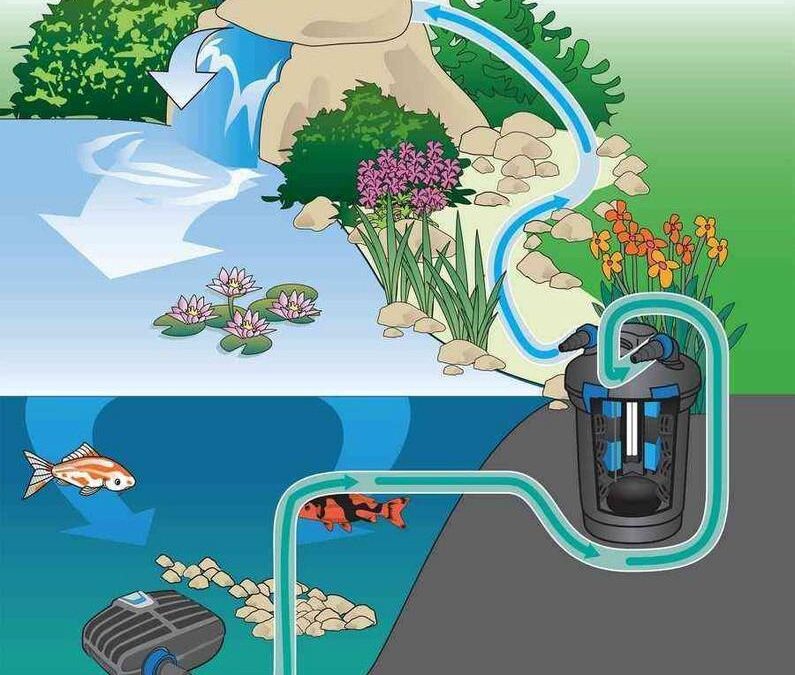 Pond Pump flow