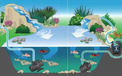 How To Choose A Fountain Pump