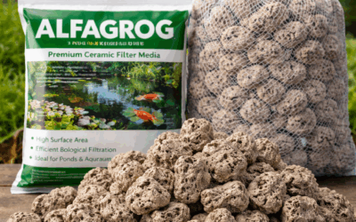 Alfagrog